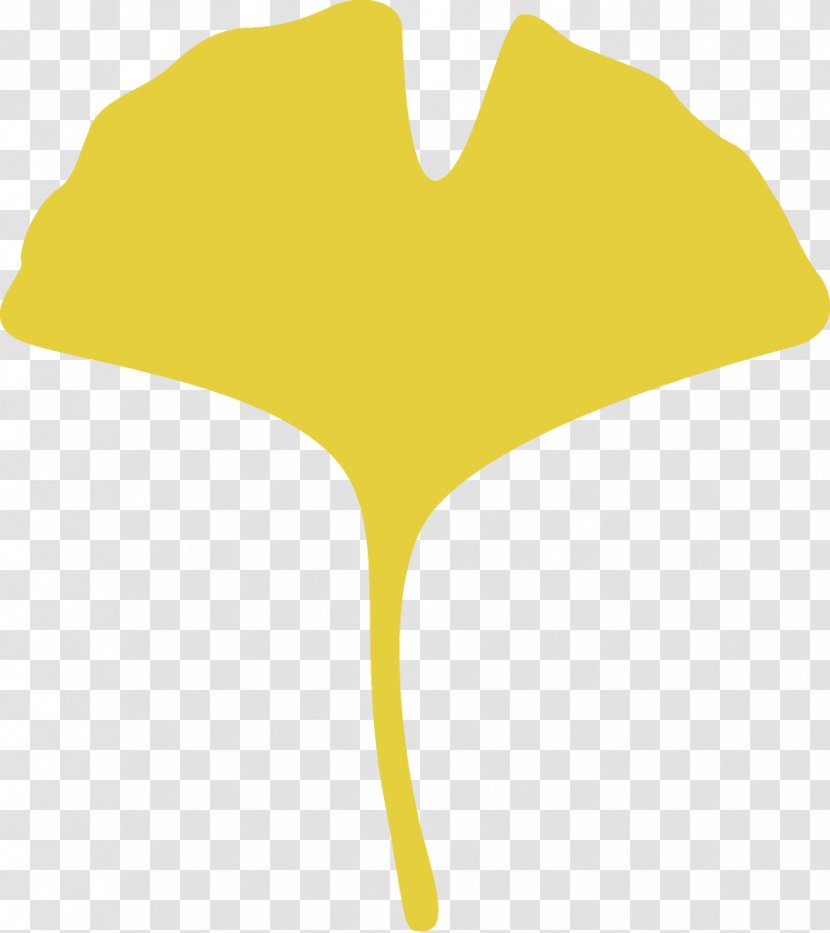 Ginkgo Leaf Gingko Maidenhair - Logo Plant Transparent PNG