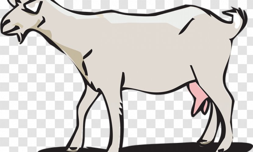Clip Art Goat Cattle Image Drawing - Like Mammal - Koza Ipek Transparent PNG