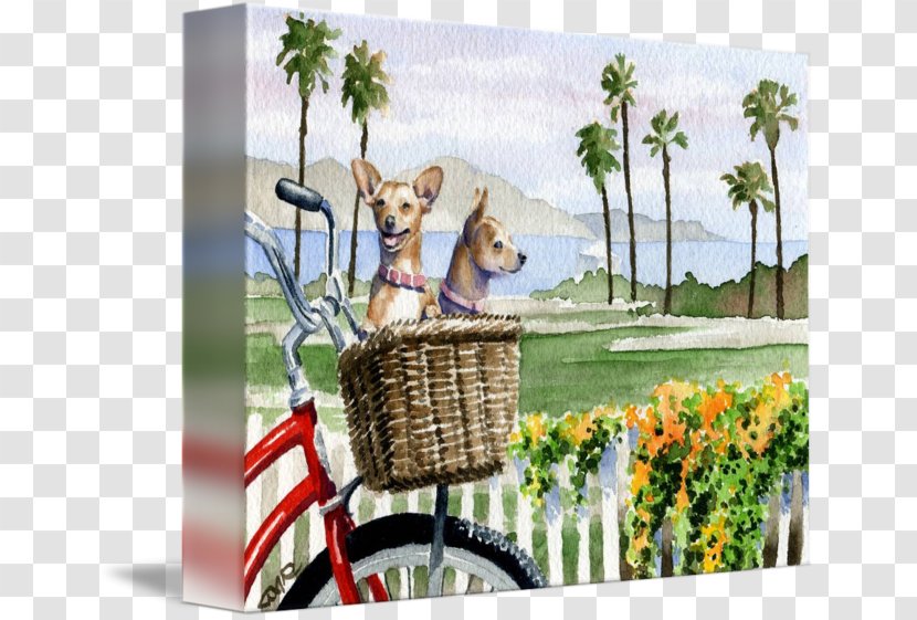 Bicycle Baskets Gallery Wrap Canvas Chihuahua Transparent PNG