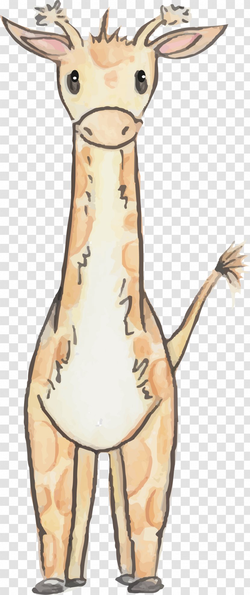 Watercolor Giraffe - Cartoon - Horn Transparent PNG