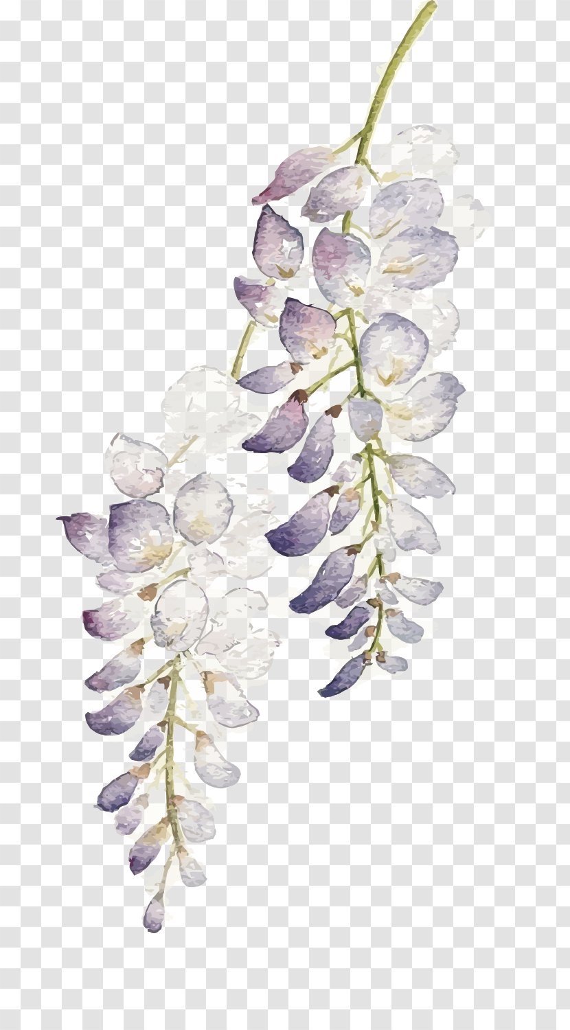 Flower Watercolor Painting Wisteria Floribunda - Printmaking - Flowers Transparent PNG
