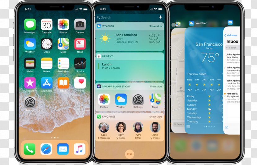 IPhone X 8 Human Interface Guidelines User Design - Mobile Device - Iphone Transparent PNG