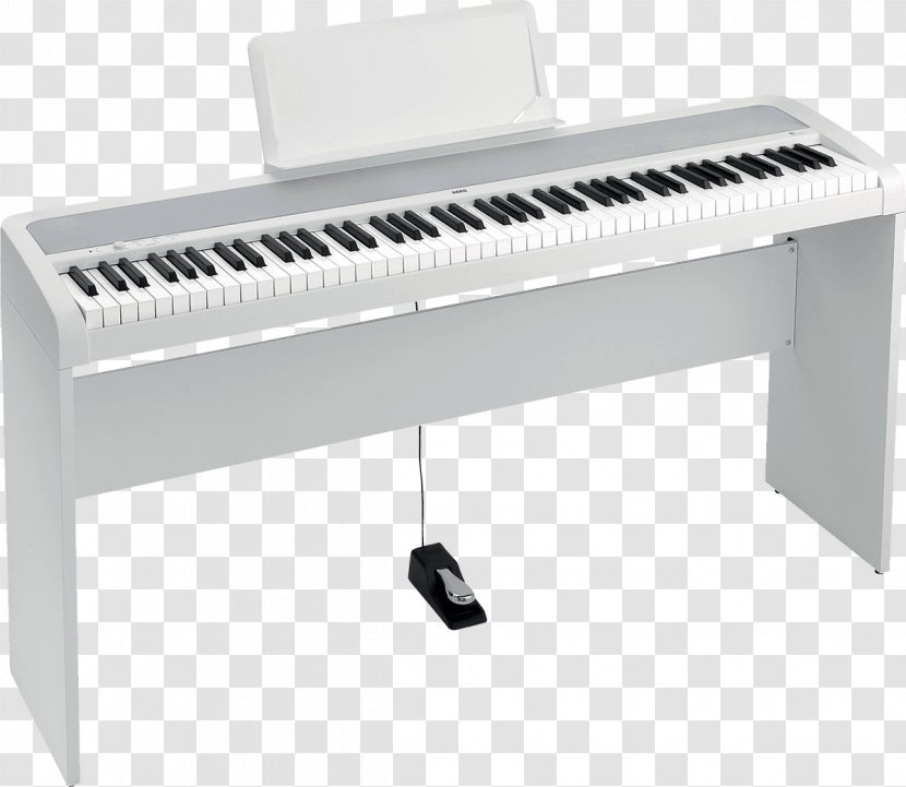 KORG B1SP Digital Piano Stage - Watercolor - Electronic Transparent PNG