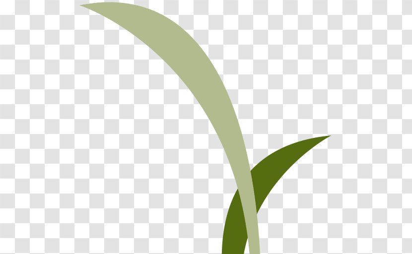 Leaf Logo Grasses Font - Campus Wind Transparent PNG