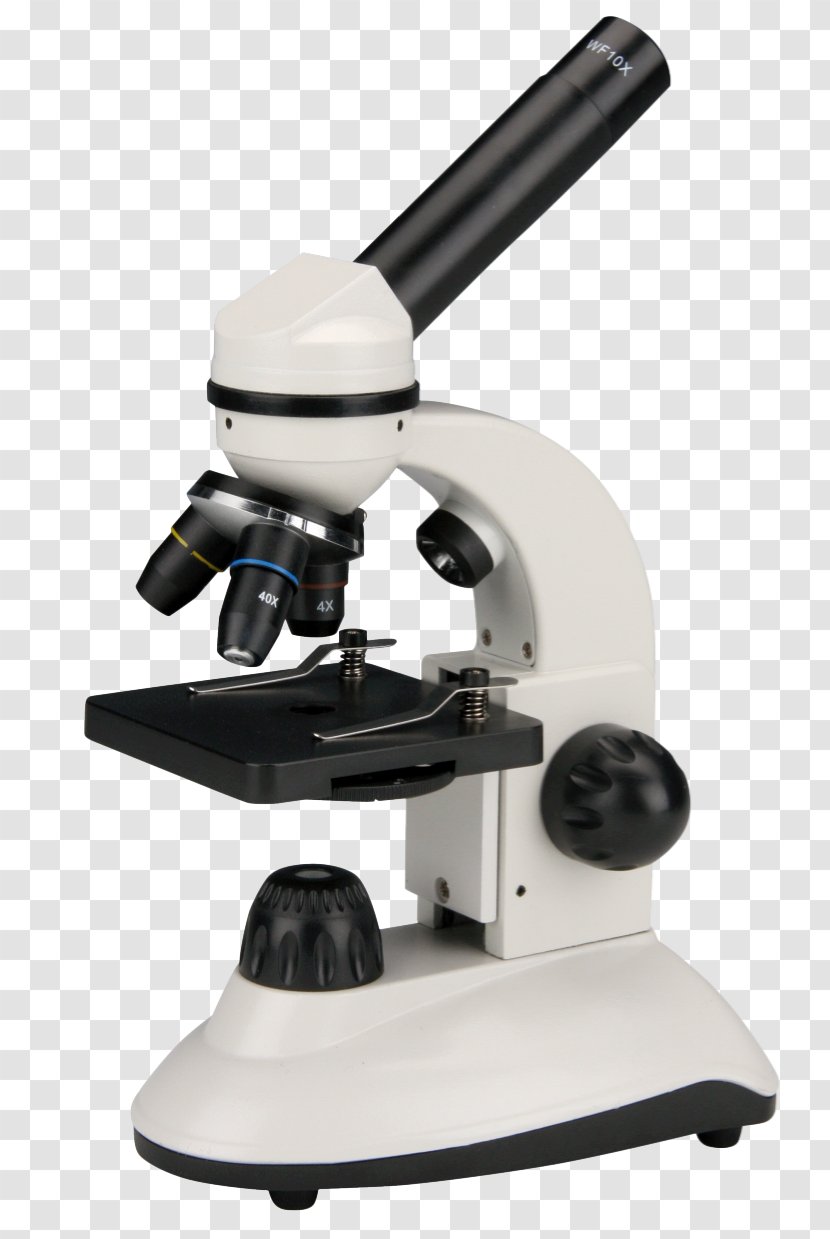 Stereo Microscope Frederiksen Scientific A / S Science Optical Transparent PNG