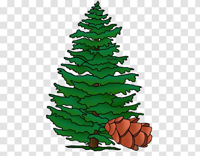 Christmas Tree Spruce Pennsylvania Fir Pine - Decoration Transparent PNG