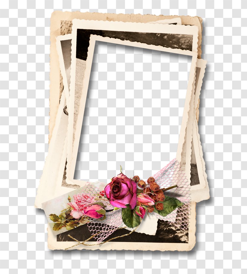 Picture Frames - Flower - Design Transparent PNG