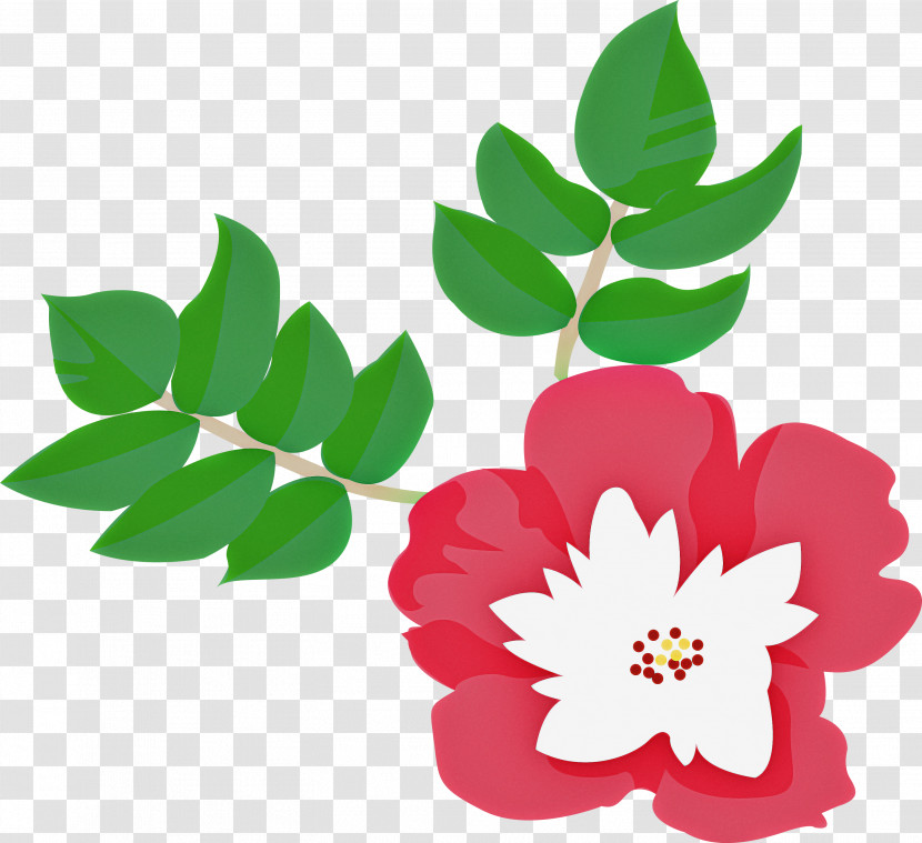 Rose Transparent PNG