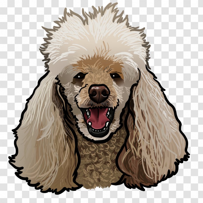 Miniature Poodle Standard Puppy Dog Breed - Like Mammal Transparent PNG