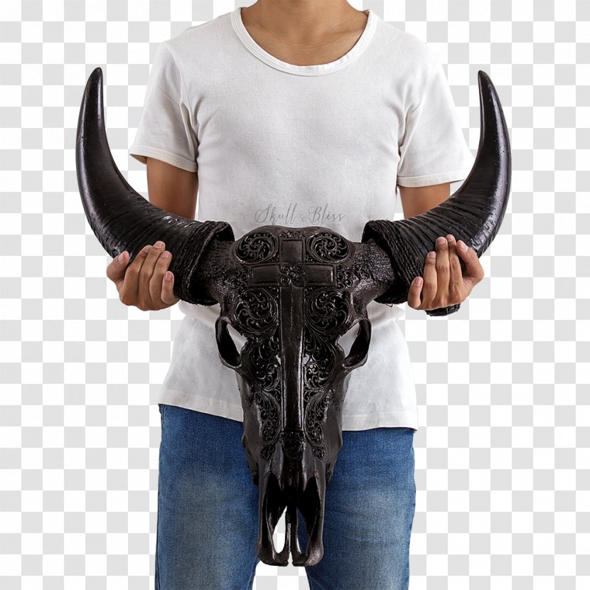Horn Cattle Cross Skull Carving - Snout - Buffalo Transparent PNG