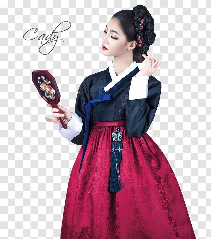 Joseon South Korea Costume Hanbok Dress - Flower Transparent PNG