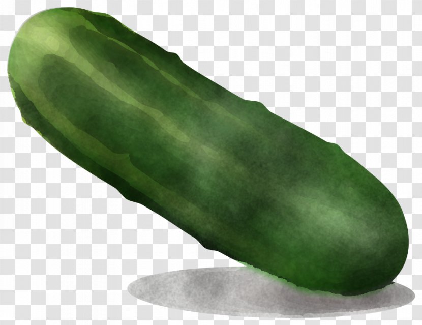 Vegetable Green Plant Cucumber Food - Cucumis - Gourd And Melon Family Transparent PNG