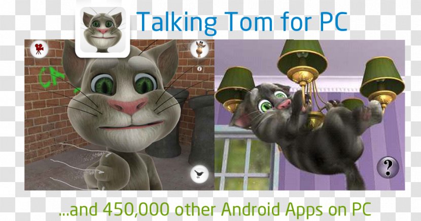 Whiskers Cat 3GP YouTube WebM - Fauna - Talking Tom Transparent PNG