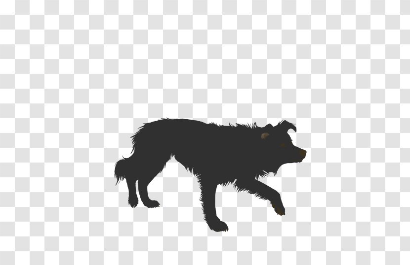 Rough Collie Border Australian Shepherd Borzoi German Transparent PNG