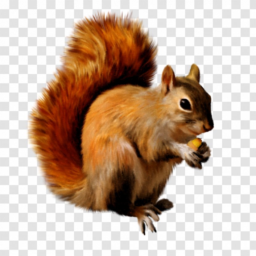 Scrat Squirrel Clip Art - Fox - Es Campur Transparent PNG