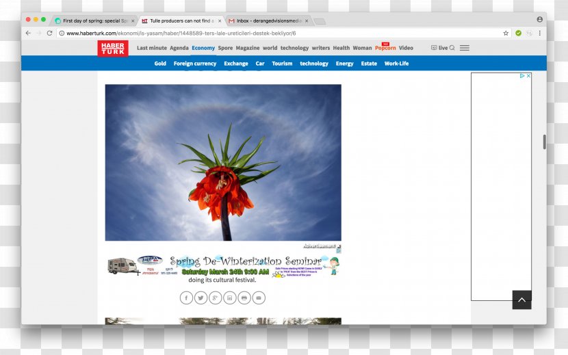 Web Page Video Multimedia - Media - First Day Of Spring Transparent PNG