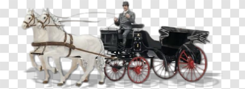 Horse Harnesses Carriage Wedding And Buggy - Anniversary Transparent PNG