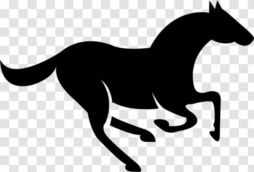 Mule Mustang Tennessee Walking Horse Morgan Clip Art - Artwork Transparent PNG