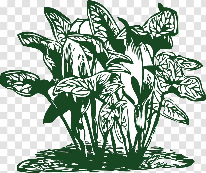 Tropics Plant Clip Art - Flowering - Tropical Transparent PNG