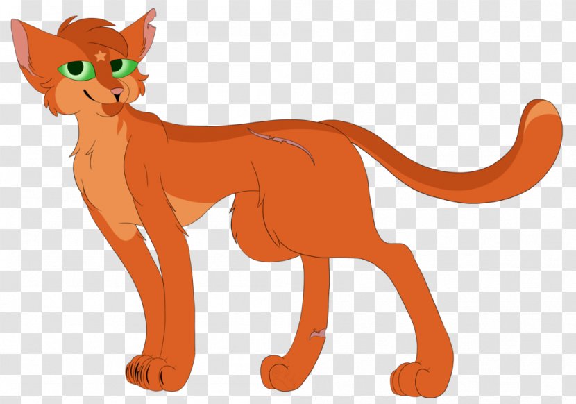 Whiskers Cat Lion Red Fox Macropods - Felidae Transparent PNG