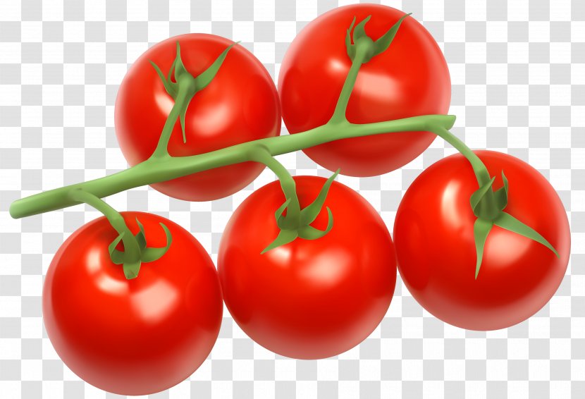 Cherry Tomato Vegetable Bush Clip Art - Royaltyfree Transparent PNG