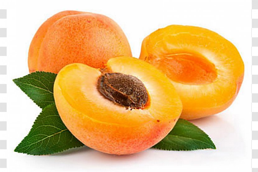 Turkish Cuisine Apricot Kernel Fruit Drupe - Ripening Transparent PNG