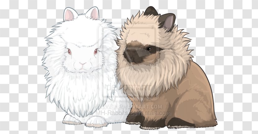 Whiskers Netherland Dwarf Rabbit Lionhead Siamese Cat - Bunnies Transparent PNG