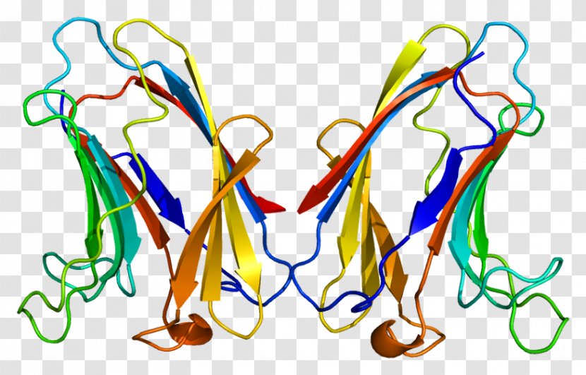 Galectin-7 Galectin-3 Protein - Frame - Watercolor Transparent PNG