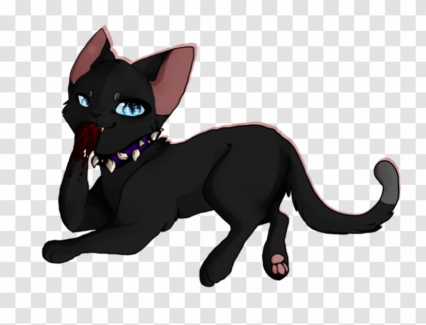 Black Cat Warriors Yellowfang Popular Names - Snout - Easy Kitty Transparent PNG