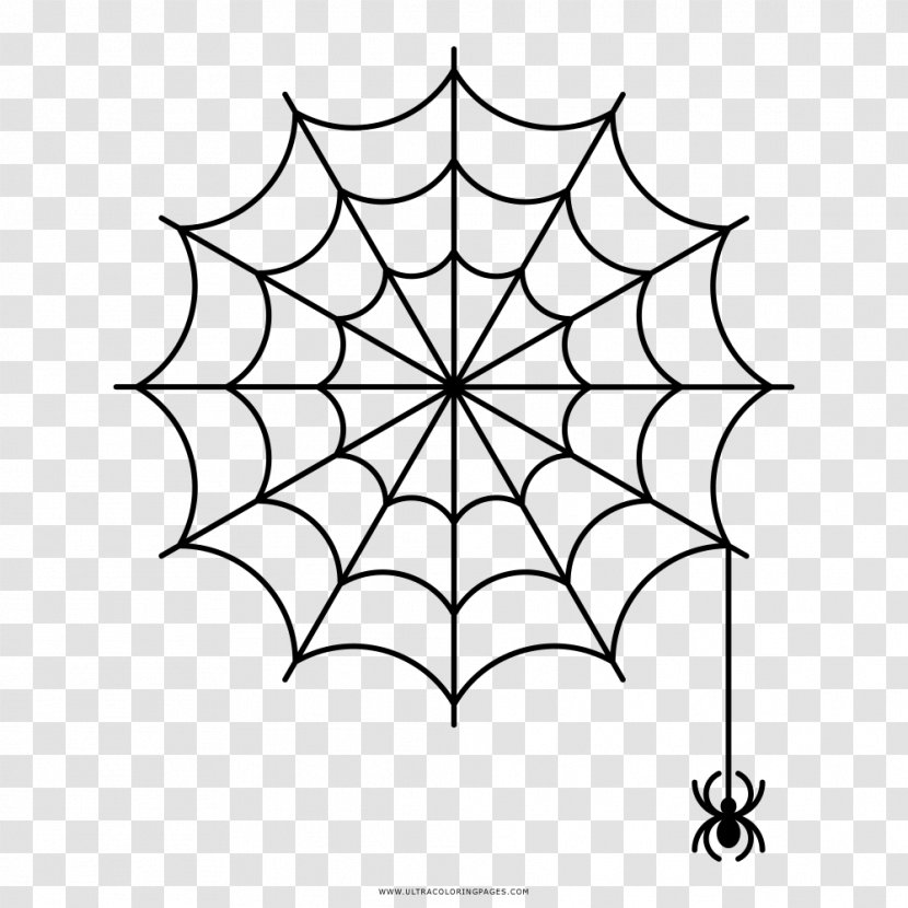 Spider Web Clip Art Transparent PNG