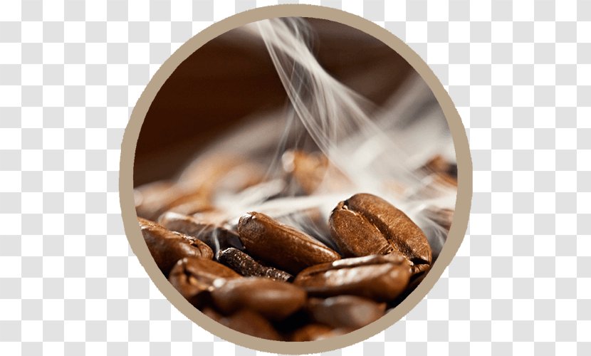 Kona Coffee Cafe Espresso Jamaican Blue Mountain - Arabica Transparent PNG