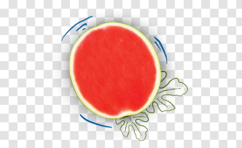 Watermelon Cantaloupe Abortion Clinic Nutrient - Cartoon - Melon Transparent PNG