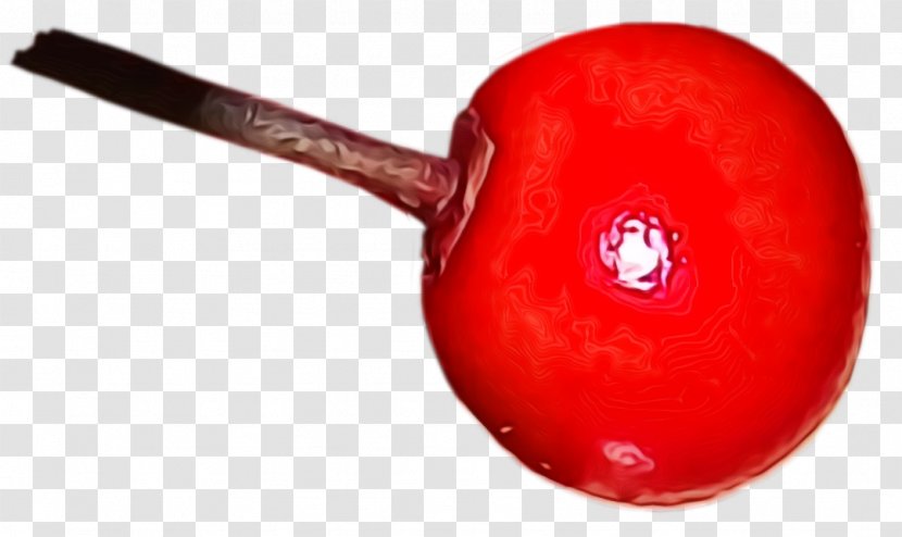 Red Plant Fruit - Paint Transparent PNG