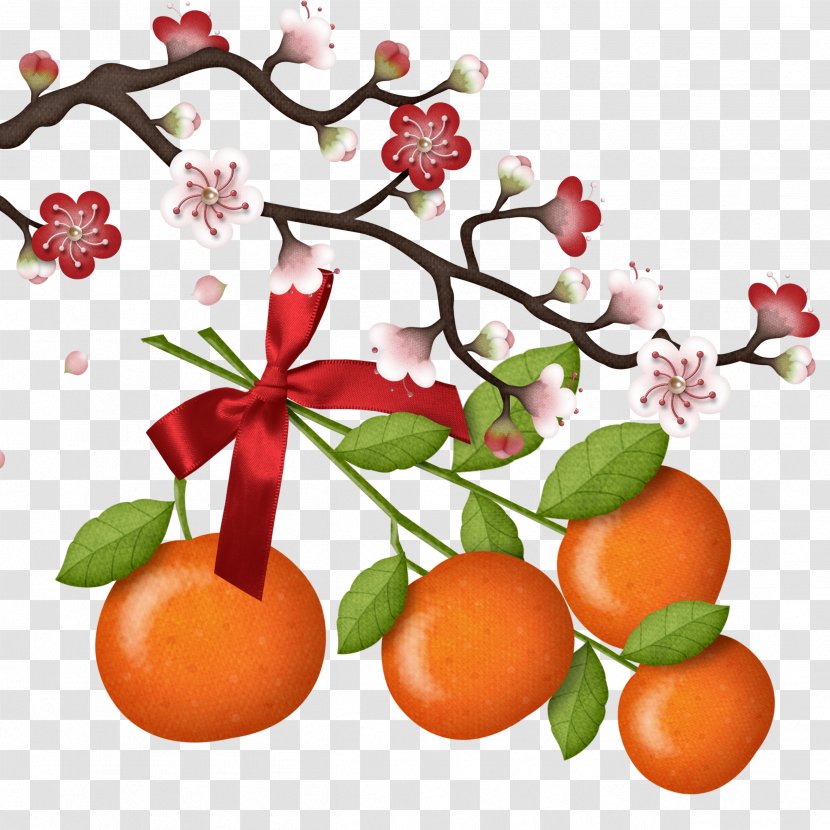 Chinese New Year Happiness Reunion Dinner Fu Oudejaarsdag Van De Maankalender - Peach And Orange Transparent PNG