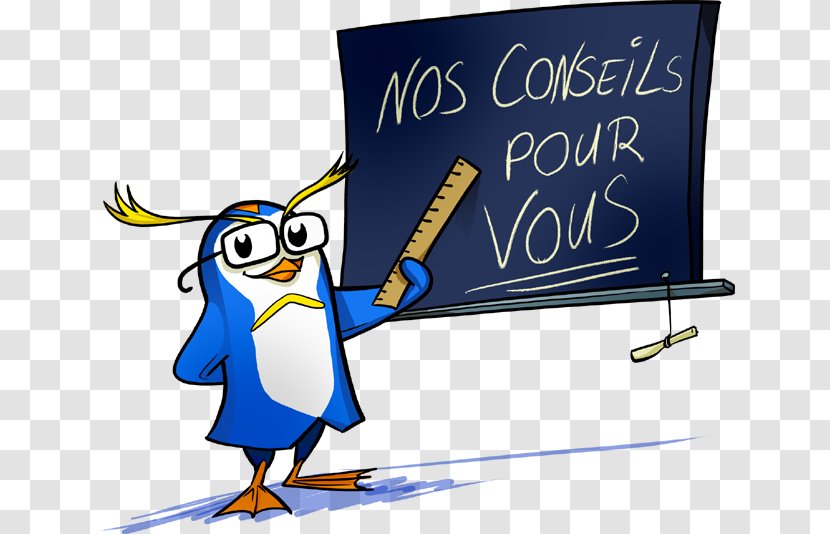 France Real Property Clip Art - Penguin - Assurance Transparent PNG