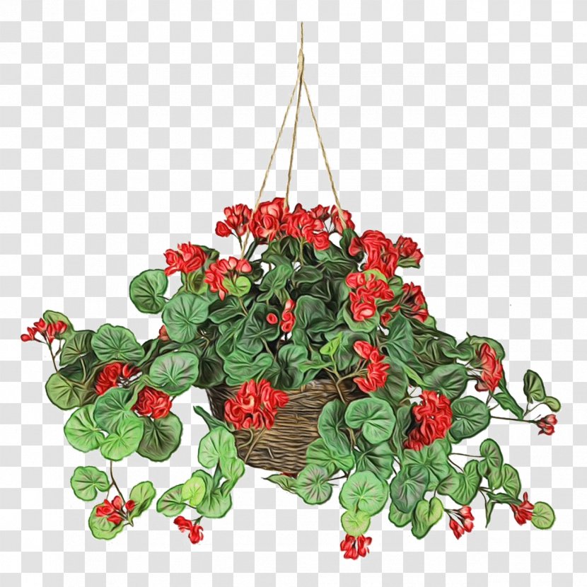 Flower Plant Red Flowering Flowerpot - Watercolor - Begonia Impatiens Transparent PNG