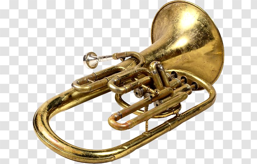 Cornet Saxhorn Trumpet Flugelhorn Euphonium - Tree Transparent PNG