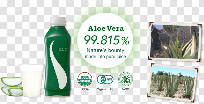 Aloe Vera Information Liquid Health Physical Property - Grasses - Grass Transparent PNG