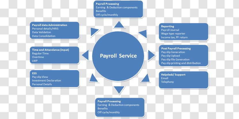 Payroll Consultant Human Resource Management Consulting - Business Transparent PNG