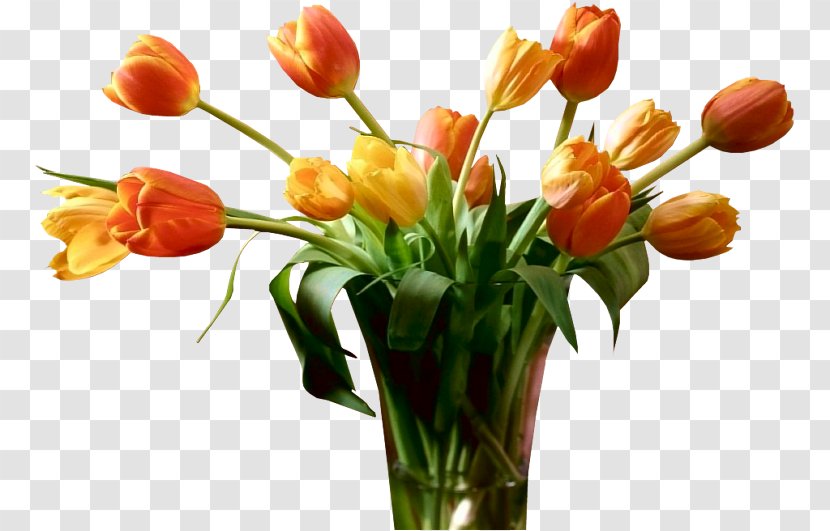 Tulip Flower Bouquet Clip Art - Plant Transparent PNG