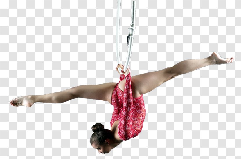 Circus Acrobatics Trapeze Performing Arts Gymnastics Transparent PNG