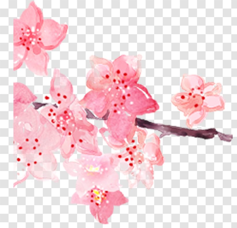 Pink Cherry Blossom Watercolor Painting - Floristry - Hand-painted Blossoms Transparent PNG