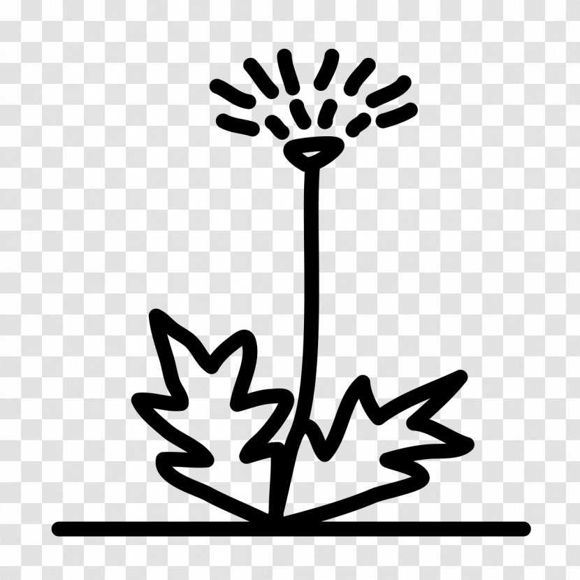 Atlantis Paradise Island Food Gymnastics Mennonite Village - Flora - Dandelions Transparent PNG