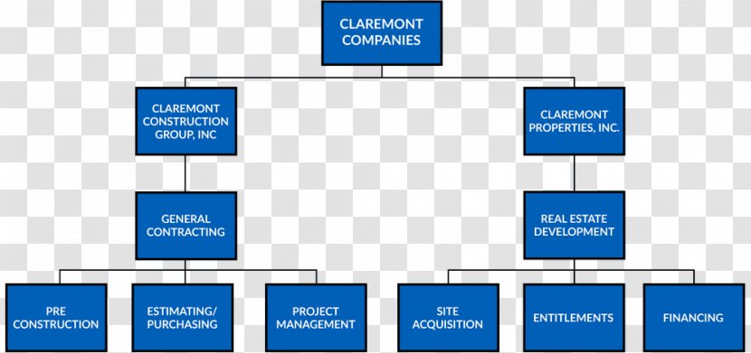 Organizational Chart Business Structure Construction - Management - Of Company Transparent PNG
