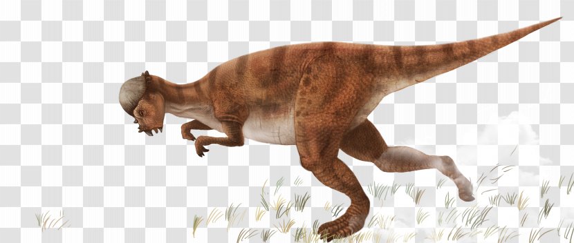 Tyrannosaurus Dinosaur Illustration - Wildlife - Running Transparent PNG