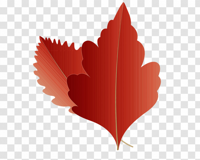 Maple Leaf Transparent PNG