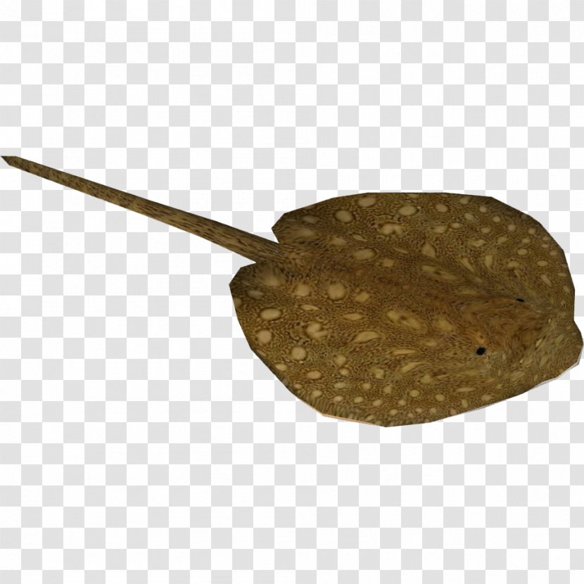Myliobatoidei Mekong Ocellate River Stingray - Wiki - Ray Transparent PNG