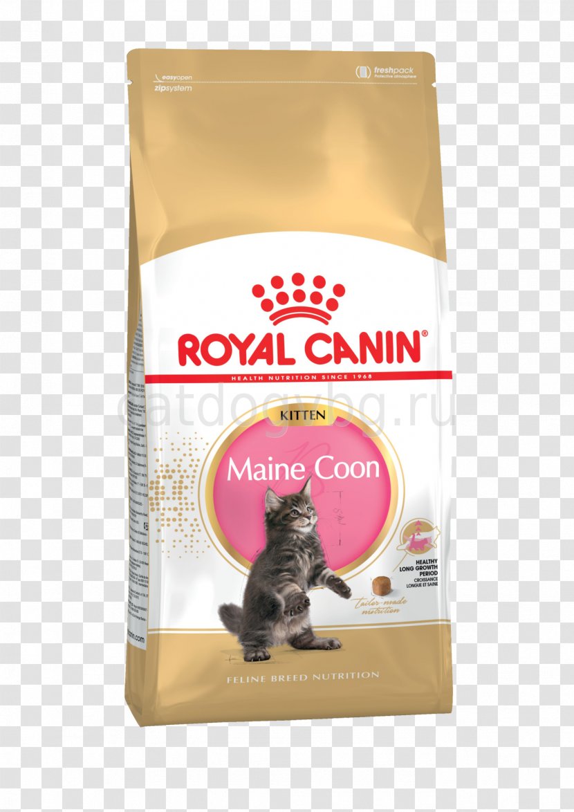 Maine Coon Persian Cat Food British Shorthair Siamese - Snout - Dog Transparent PNG