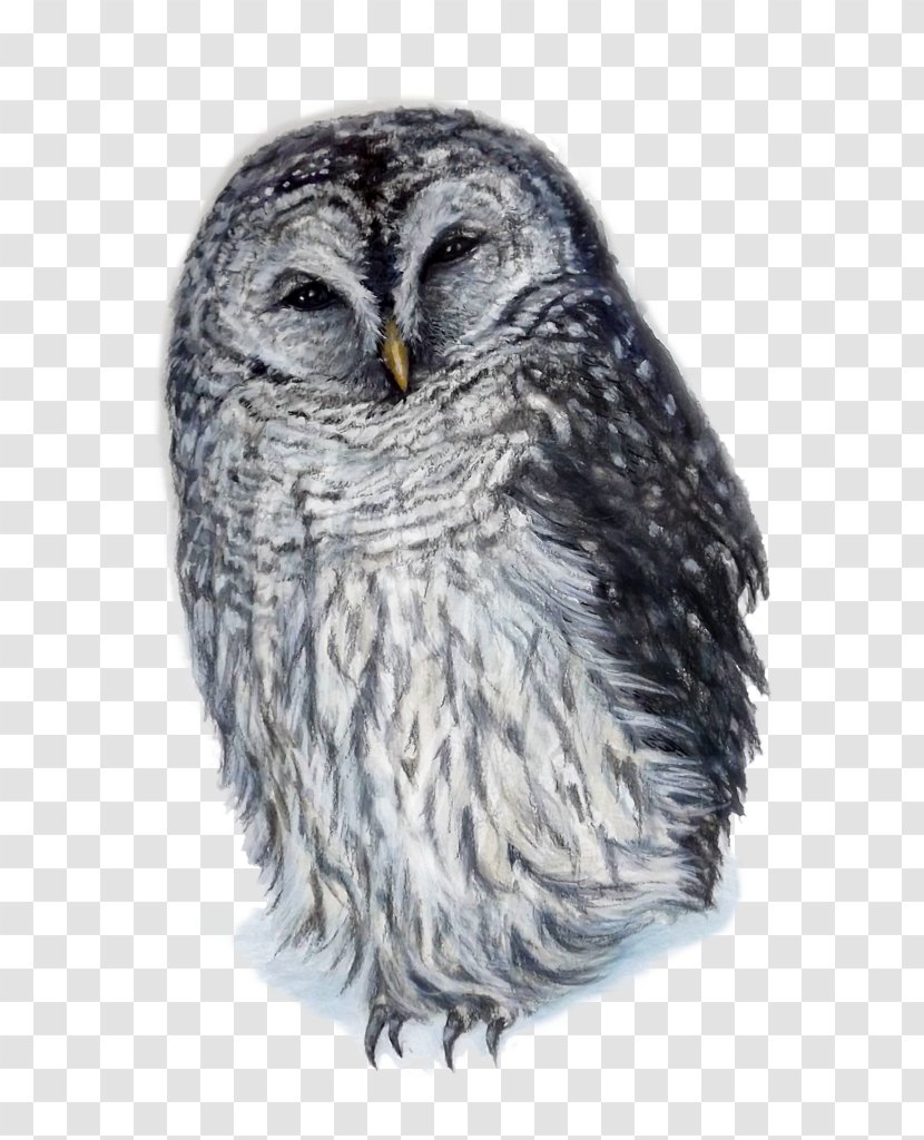 Great Grey Owl Squirrel Barred Horned - Eurasian Eagleowl - Hand Painted Planet Transparent PNG