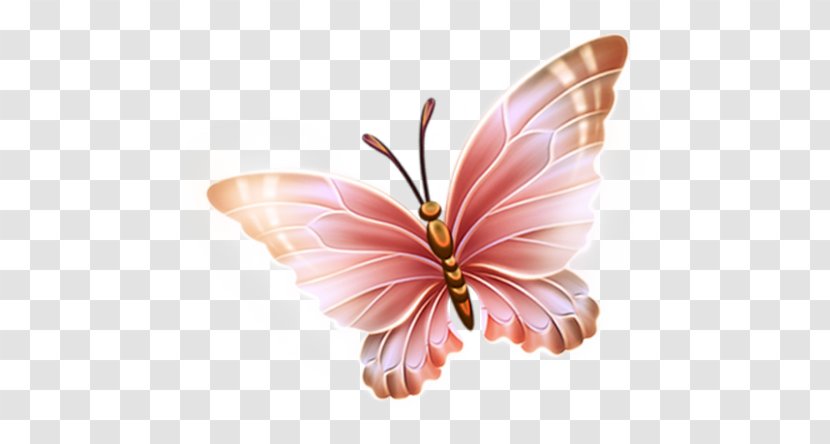 Paper Butterfly Clip Art - Tutorial Transparent PNG